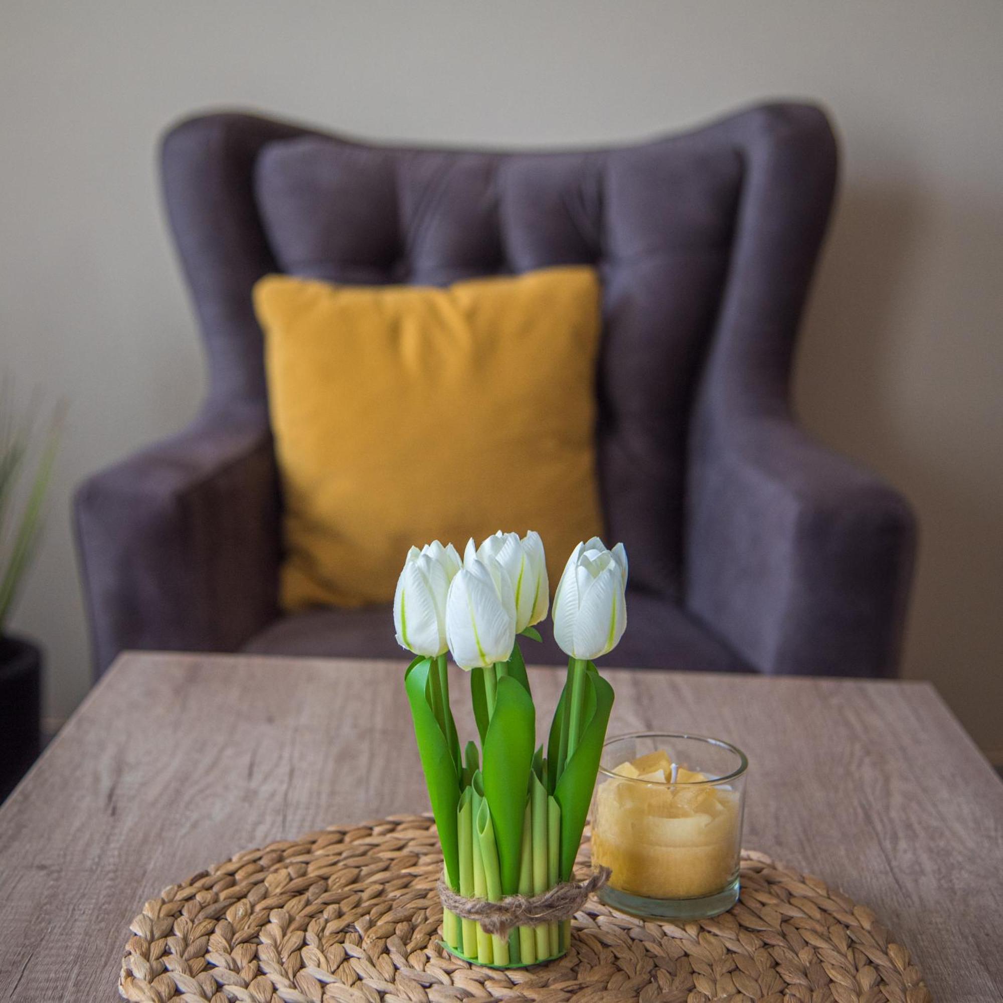 Apartment Mm Zlatibor